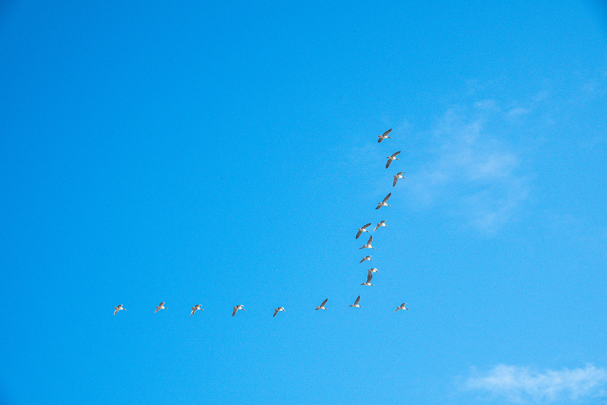 20251108   Huys te Warmond met Brigitte   004